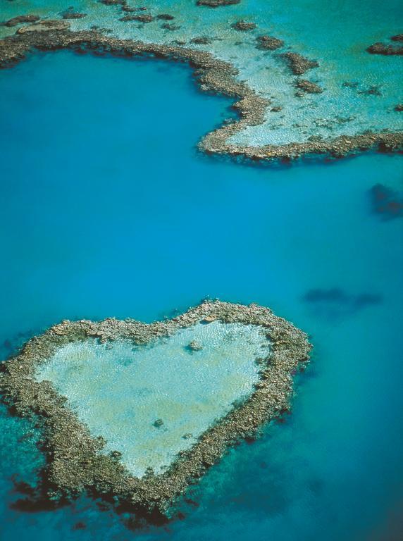 At Waterfront Whitsunday Retreat - Adults Only Aparthotel Airlie Beach Ngoại thất bức ảnh